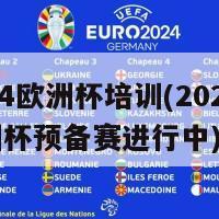 2024欧洲杯培训(2024年欧洲杯预备赛进行中)